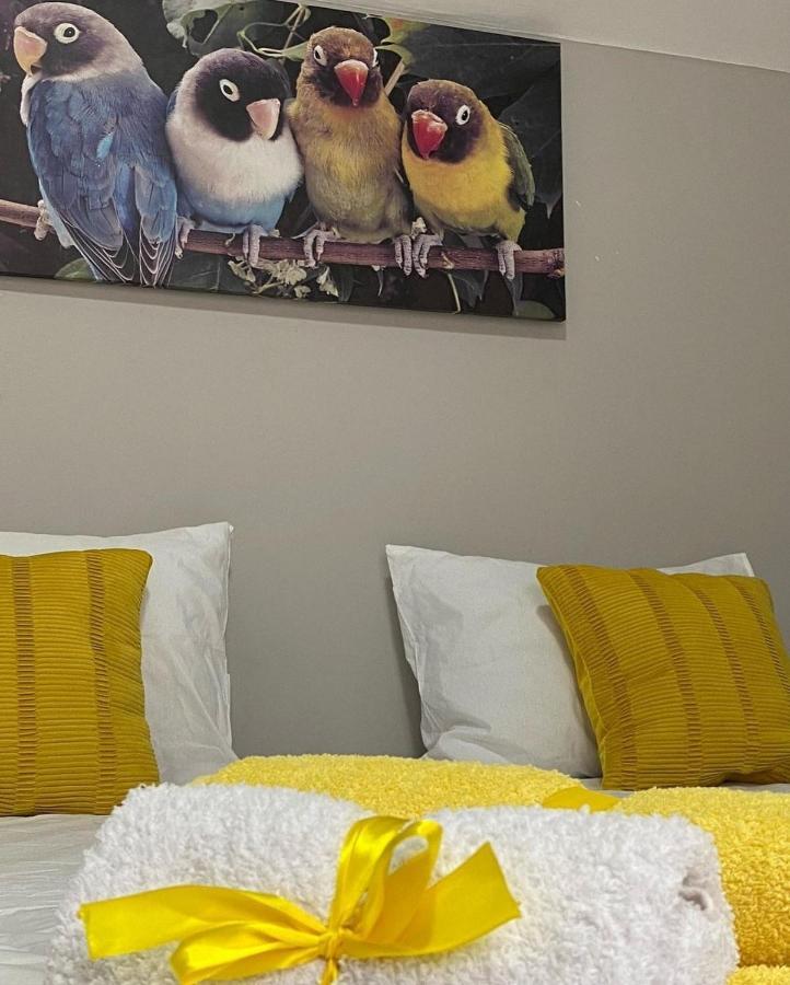 Oldtown Apartments - Marigold Group Novi Sad Bagian luar foto