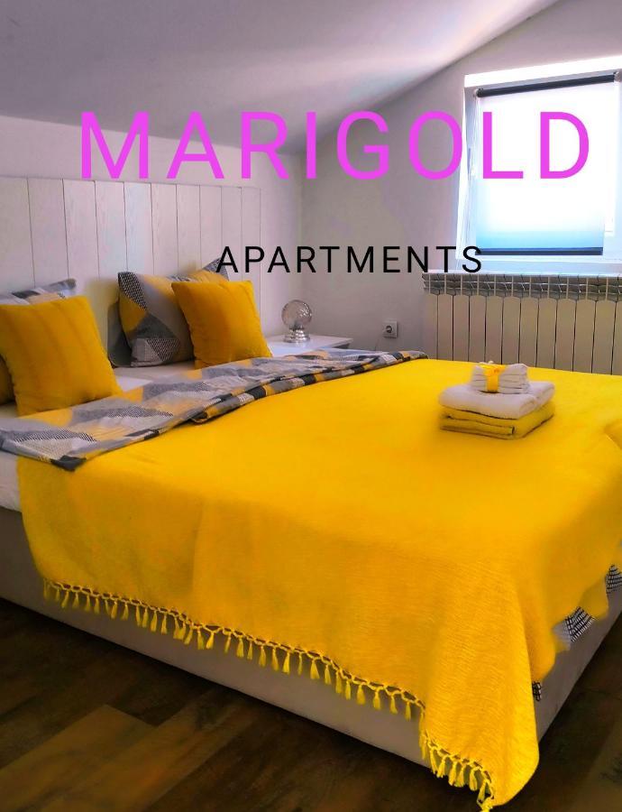 Oldtown Apartments - Marigold Group Novi Sad Bagian luar foto