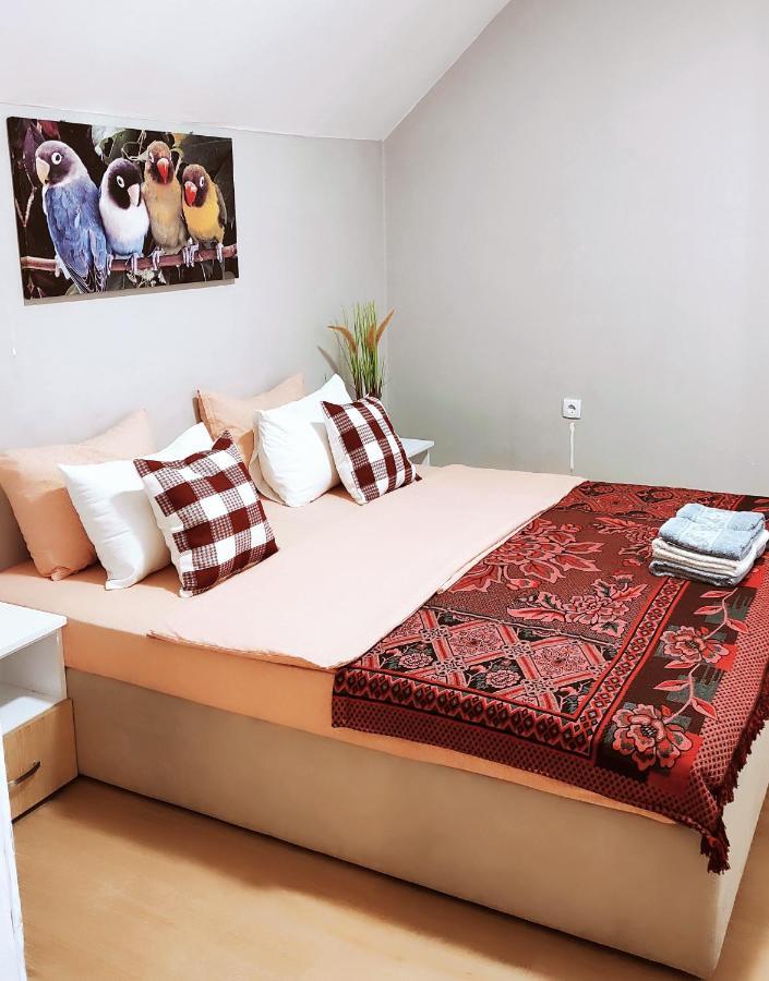 Oldtown Apartments - Marigold Group Novi Sad Bagian luar foto